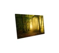 Mysterious Spring Morning Forest Canvas Wall Art Picture Print CanvasGeeks Green W36 inch x H24 inch x D40mm