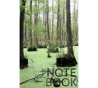 Mysterious swamps in the forest (Forest Notes)