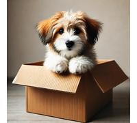 Mystery Dog Treats & Toy Surprise Bundle