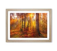 Mystery Forest Painting Framed Print | A2 Oak Framed Wall Art | Ready to Hang | Modern Landscape Picture | Living Room Bedroom Lounge Office