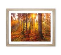 Mystery Forest Painting Modern Art Framed Print | A2 Oak Framed Wall Art | Ready to Hang | Modern Landscape Picture | Living Room Bedroom Lounge Office