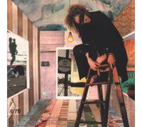 Mystery Jets, the - You Can't Fool Me Dennis [7" VINYL]