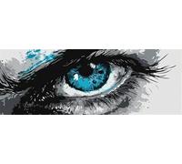 Mystery Paint by Numbers for Adults Beginners, 34x101 Inch Large Paint by Numbers Eye, Easy DIY Acrylic Oil Painting by Numbers for All Ages Crafts for Home Wall Decor, Gift (Without Frame) -H893