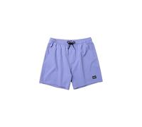 Mystic 2026 Mens Brand Structure Swim Short - Iris Blue