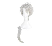 Mystic Messenger Zen Cosplay Wig Silver Long Ponytail Heat Resistant Synthetic Hair Wig + Wig Cap