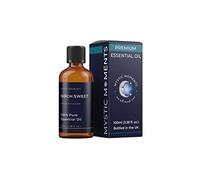 Mystic Moments | Birch Sweet Essential Oil 100ml | Betula lenta | Sweet Minty Woody Aromatic Oil for Diffuser, Blends & Crafts | Aromatherapy Grade