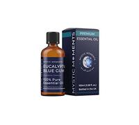 Mystic Moments | Eucalyptus Blue Gum Essential Oil 100ml - Pure & Natural oil for Diffusers, Aromatherapy & Massage Blends Vegan GMO Free