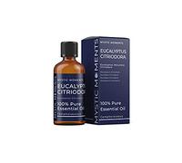 Mystic Moments | Eucalyptus Citriodora Essential Oil 100ml - Pure & Natural Oil for Diffusers, Aromatherapy & Massage Blends Vegan GMO Free