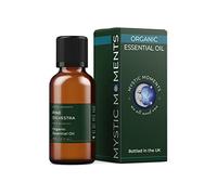 Mystic Moments | Organic Pine Sylvestra Essential Oil | 30ml