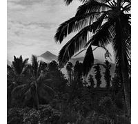 Mystical Communication Service - The Fierce People [Vinyl LP] [VINYL]