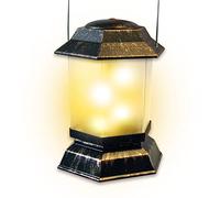 Mystical Fantasy Lantern (3)