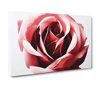 Mystical Rose Flower Canvas Wall Art Print Ready to Hang, Framed Picture for Living Room Bedroom Home Office Décor, 30x20 Inch (76x50 cm)
