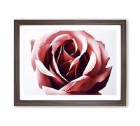 Mystical Rose Flower WHT Framed Print | A2 Walnut Framed Wall Art | Ready to Hang | Modern Floral Picture | Living Room Bedroom Lounge Office