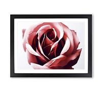 Mystical Rose Flower WHT Framed Print | A4 Black Framed Wall Art | Ready to Hang | Modern Floral Picture | Living Room Bedroom Lounge Office