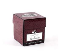 Mystix London | 5 x Tea Tree & Spearmint - Scented Candle Small 8cl | Best Aroma for Home, Kitchen, Living Room and Bathroom | Perfect as a Gift | Reusable Glass Jar