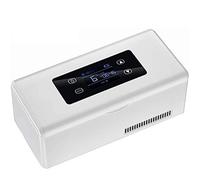 MytaYt Mini-Kühlschrank Medizin Kühlschrank Und Insulinkühler - Reise-, Heim-, Tragbare Autokühlkoffer/Kleine Reisebox Für Medikamente,2X Lithium Battery
