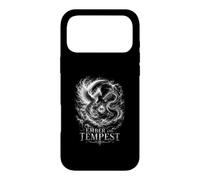 Mythic Phoenix Dragon Ember And Tempest Saga Case for iPhone 17 Pro Max