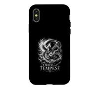 Mythic Phoenix Dragon Ember And Tempest Saga Case for iPhone X/XS