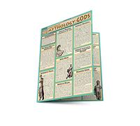 Mythology: Greek/Roman Gods: Greek and Roman Gods (Quickstudy Reference Guides - Academic)