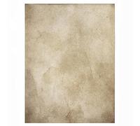 Mythrojan Medieval Renaissance Genuine Natural Parchment Vellum (8" x 11")