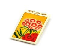 MyTinyWorld 2 x Dolls House Flower Seed Packet - Sweet Williams