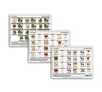 MyTinyWorld 35 Dolls House Miniature Food Can Labels From The 1920s