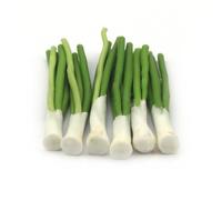 MyTinyWorld 9 x Dolls House Miniature Handmade Baby Spring Onions