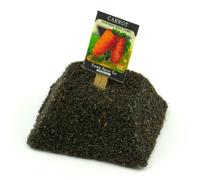 MyTinyWorld Dolls House Miniature Danvers Carrot Seed Packet With A Stick