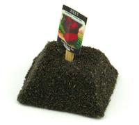 MyTinyWorld Dolls House Miniature Detroit Beetroot Seed Packet With A Stick