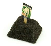 MyTinyWorld Dolls House Miniature Icicle Radish Seed Packet With A Stick