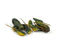 MyTinyWorld Dolls House Miniature Pair Of Dark Green Lobsters