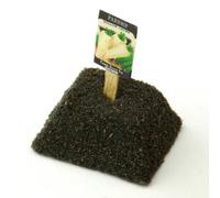 MyTinyWorld Dolls House Miniature Parsnip Seed Packet With A Stick