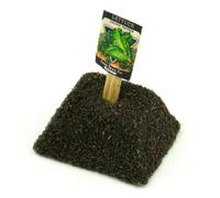MyTinyWorld Dolls House Miniature Rapids Lettuce Seed Packet With A Stick