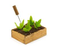 MyTinyWorld Miniature Garden Wooden Crate With Growing Spinach