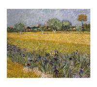 MyTinyWorld Van Gogh Painting View of Arles with Irises in Foreground