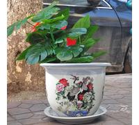 MYUYEE Ceramic Planter Pastel Porcelain Planter Ceramic Flower Pots Chinese Oriental Bonsai Pot Decorative Plant Pots Succulent Orchid Planter With Saucer For Garden,24 * 17cm
