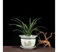 MYUYEE Ceramic Planter Pots - Pastel Porcelain Porcelain Decorative Flower Pots Indoor Plant Container With Drainage Hole For Bonsai Plants Flower Aloe Indoor Home,33 * 25cm