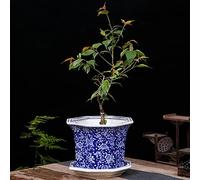 MYUYEE Chinoiserie Blue And White Porcelain Flowerpot Jingdezhen Ceramic Flowerpot With Tray Breathable Flower Green Plant Potted Plant Collection Ornament (I 24cm),I-24cm