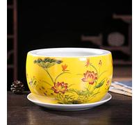 MYUYEE Hand Painted Ceramic Plants China Style Flower Pot Indoor Outdoor Garden Use With Drip Tray Vase Chinese Classical Flower Pot Specialty (C 19 * 12CM),C-19 * 12CM