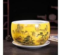 MYUYEE Hand Painted Ceramic Plants China Style Flower Pot Indoor Outdoor Garden Use With Drip Tray Vase Chinese Classical Flower Pot Specialty (B 19 * 12CM),B-19 * 12CM
