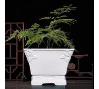 MYUYEE Jingdezhen Ceramic Flower Pot Bowl Lotus Lotus Flower Pot Green Dill Succulent Potted Plant Chinoiserie Ice Crack Flower Pot (C),C