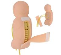MYUYEE Lumbar Puncture Training Simulator - Newborn Baby Life Size Model for Practice, Ideal for s, Nurses, and Students