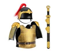 MZICXV Dynasty Costume Set for Kids, Wearable Helmet & Armour, with Broadsword Toy and Quiver for Boys' Fancy Dress & Historical Reenactments(A)