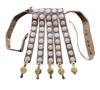 MZICXV Roman Legionary Cingulum Belt with Hanger, Ancient Officer Combat Belt, Brass Decorated Lorica Segmentata Strap for Reenactment
