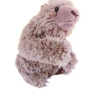 MZICXV Simulation Animal World Sloth Plush Doll 's Science Education Gift Home Decoration(Folivora)