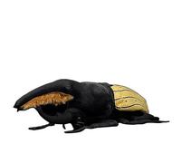 MZICXV Simulation Halberd Big Round Beetle Plush Toy Soft Doll Doll