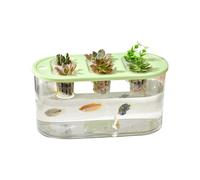 MZRAN Simple Maintenance Hydroponic Growing Box Promoting Clean Environment and Plant Cultivation for Indoor Use Clear Gardening Box