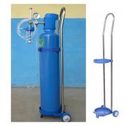 MZZKFC Domestic Stainless Steel Gas Cylinder Fixed Rack, 31.5 37.4 43.3 IN Hight Cylinder Cart with Wheels & Handle, Cylinder Dolly for School/Factory/Labs(110cm/43.3 in)
