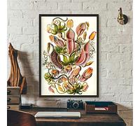 N / A Canvas decorative prints Carnivorous Plant Poster Nepenthaceae Tropical Pitcher Plants Monkey Cups Prints Wall Art Painting Canvas Picture Decor 24x32inch