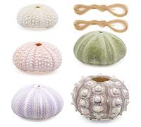 "N/A" ZUKEY 5 Pack Mini Sea Urchin Shell Hanging Pot- Decorative Hanging Air Plant Holder in 5 Styles Cute Tillandsia Succulent Display Container with Rustic Ropes